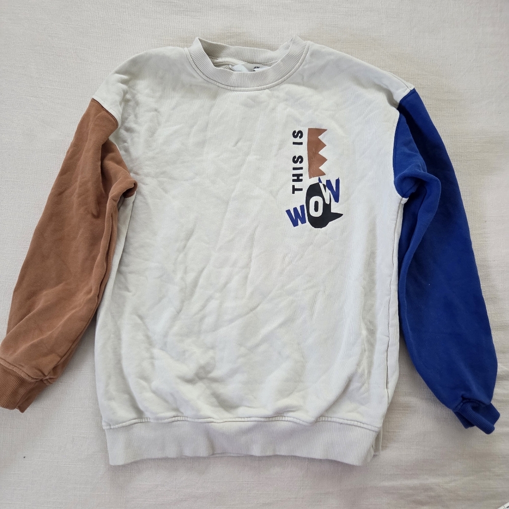 H&M Colorful Graphic "This Is Wow" Sweatshirt Kids 8/10 - Picture 3 of 7